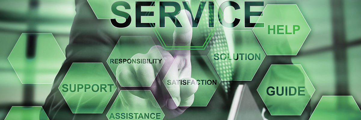 Professional Services